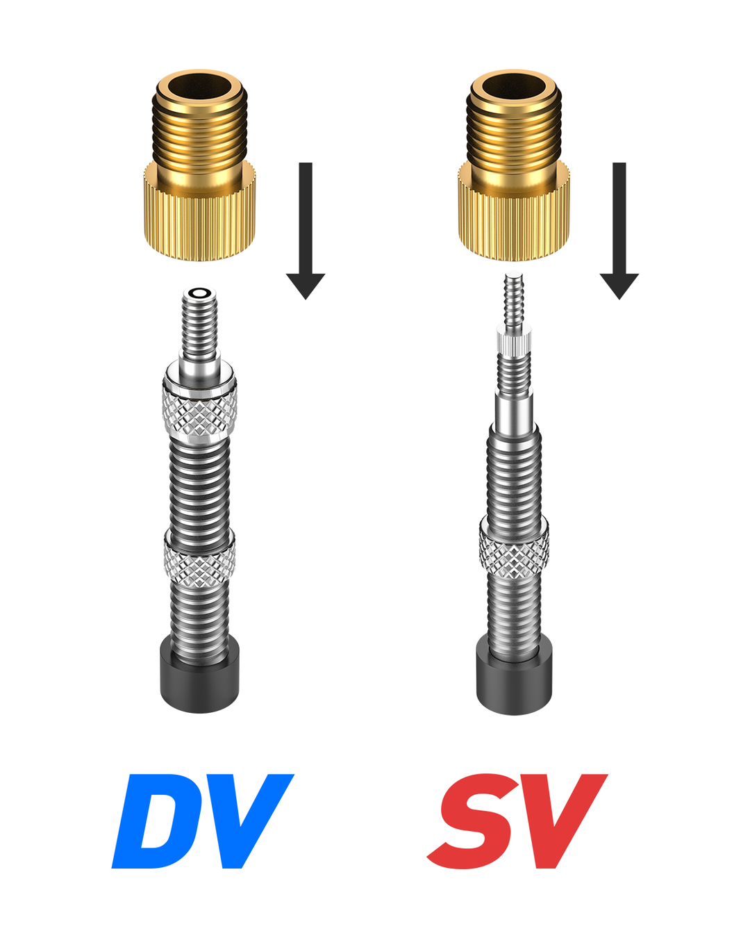 Fahrradventil Adapter 2er mit Dichtring, DV SV auf AV, Adapter Französisches Ventil，Adapter Fahrradventil auf Autoventil, Sclaverand Dunlopventil auf Auto Autoventil Adapter, Ventiladapter Fahrrad.